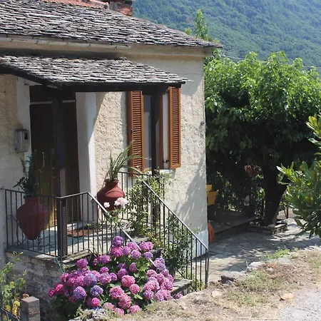 Malamo's * Κισσός