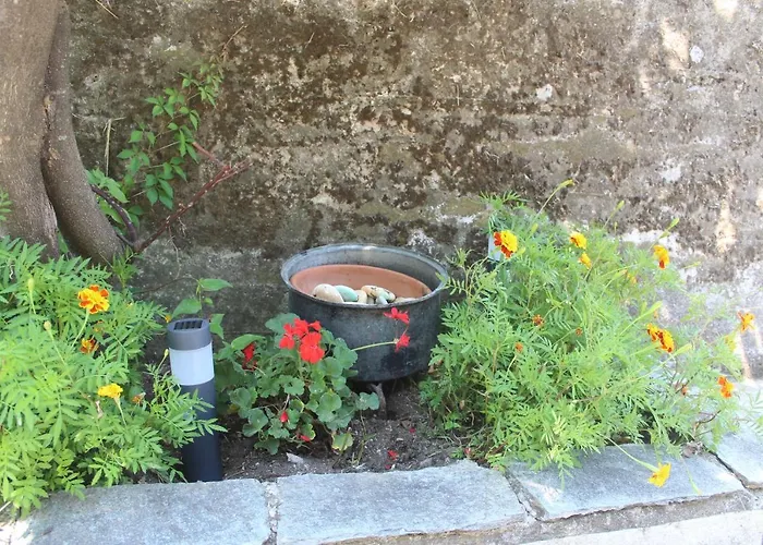 Malamo's Vakantiehuis