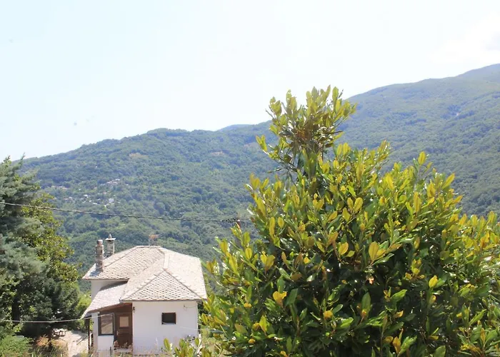 Malamo's Holiday home *